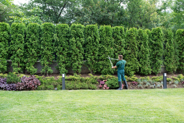 Best Artificial Turf Installation  in Dunnavant, AL